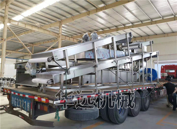 發(fā)往福建毛豆清洗加工流水線